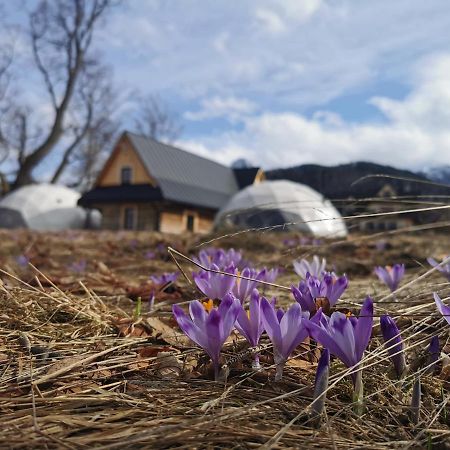 ホテル Glamp Siedlisko コシチェリスコ エクステリア 写真