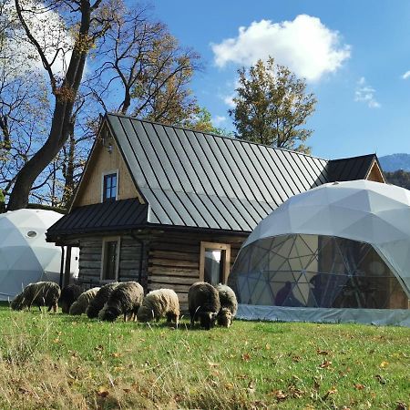 ホテル Glamp Siedlisko コシチェリスコ エクステリア 写真