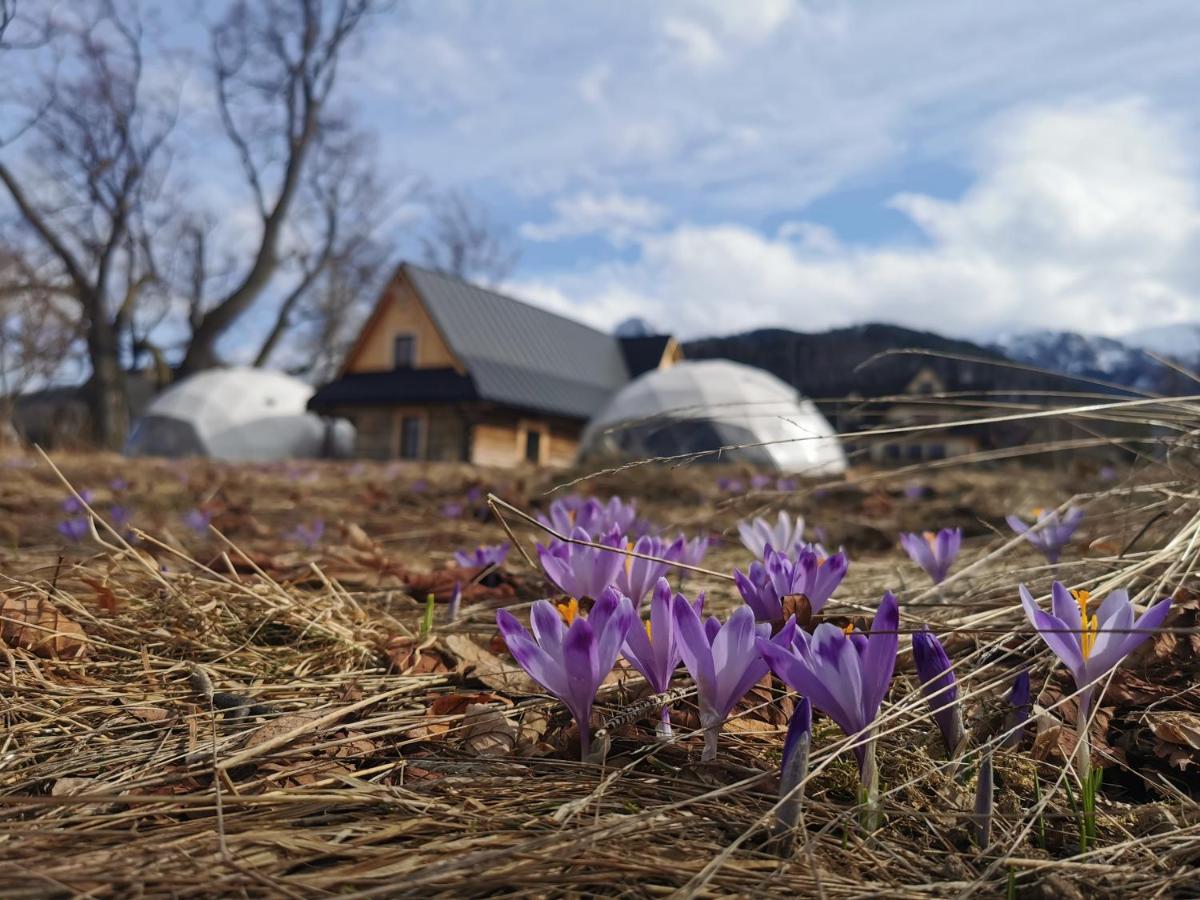 ホテル Glamp Siedlisko コシチェリスコ エクステリア 写真